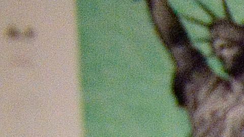 Impuestos ayuda económica ingresos dinero crédito fiscal estímulo pago retención desempleo Nancy Pelosi