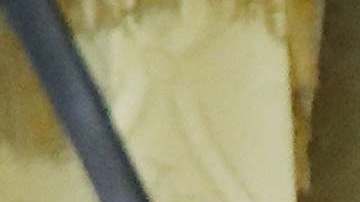 La madre de Franco Salas murió por coronavirus el 1 de septiembre.