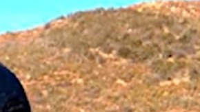 Enorme narcolaboratorio es desmantelado, estaba en zona turística de México