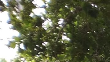 Honran a los trabajadores que han perdido la vida en el empleo.(Suministrada)