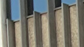 La pastora Leonor Gómez lucho muchos años por la liberación de su esposo el pastor Hugo Rolando Gómez. (Araceli Martínez/La Opinión)