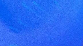 Ana Brenda Contreras