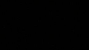 Julio César Chávez Jr.