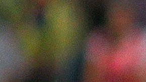 Ledesma fue campeón con Chivas en la temporada 86-87.