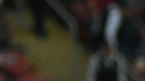 Carlos Salcido reiteró que tiene buena relación con Oribe.