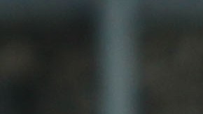 Norma Palafox pone ambiente en el equipo.