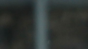 Norma Palafox pone ambiente en el equipo.