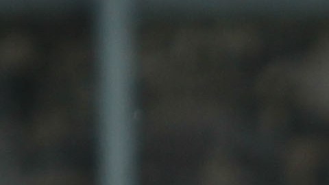 Norma Palafox pone ambiente en el equipo.