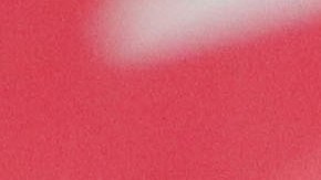 Norma Palafox dedicó el gol a su madre fallecida.