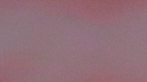 Raúl Gudiño sería el sustituto de Rodríguez.