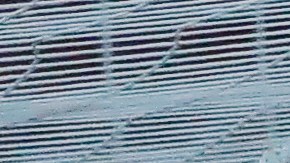 Toño Rodríguez fue reprobado por la afición.