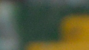 Cota se unirá de última hora a la convocatoria.