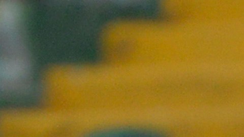 Cota se unirá de última hora a la convocatoria.