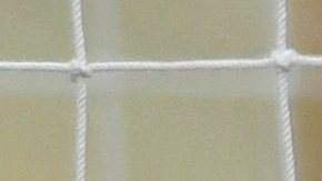 Carlos Acevedo no pudo detener el disparo de Gignac.