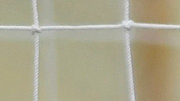 Carlos Acevedo no pudo detener el disparo de Gignac.