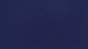 Siboldi dio su apoyo al "Tata" Martino.