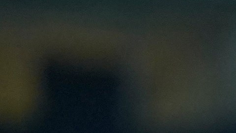 Giovani dos Santos gritó con todo su gol.