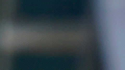 Norma Palafox puso a bailar a sus compañeras.