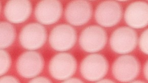 Jesús Molina puso el primero para el Rebaño.