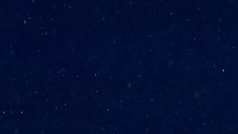 Giovani dos Santos en el partido contra Cruz Azul.