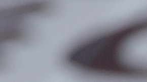 JJ macías mejores del mundo