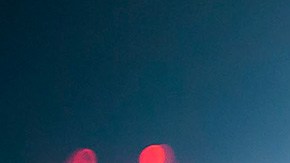 Janelly Farías chivas Harvard