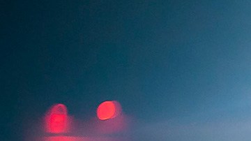 Janelly Farías chivas Harvard