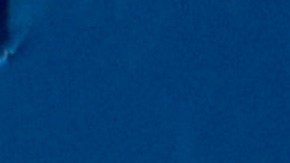 Jueza muerte Djokovic