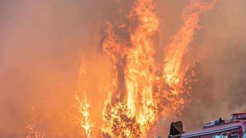 Incendio Bobcat.