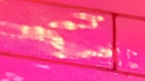 Las industrias en las que mayormente trabajan las personas LGBTQ son las más impactadas.