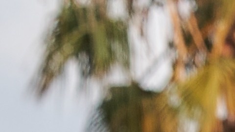 Luis Gerardo Méndez lanza en Estados Unidos su mezcal Ojo de Tigre.