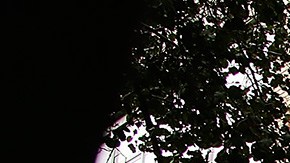 Michael Jones MLS asesino