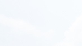 Colectivo lleva su plantón al Zócalo.