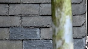 Mujer mata a 5 de sus hijos y luego trata de suicidarse en vías de tren