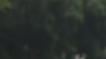 Plantón contra López Obrador.