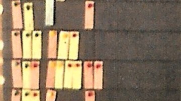 El Dr. J. Ramón Araluce en 1970.