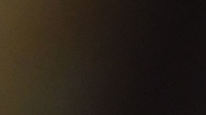 Renato Ibarra hijo esposa