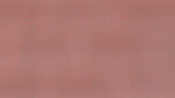 Robert Kraft cargos prostitución