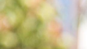 Roberto Y. Hernández, director artístico y productor ejecutivo de Carnaval San Francisco.