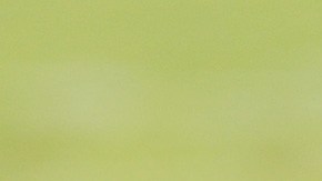 Ryan Fitzpatrick Miami