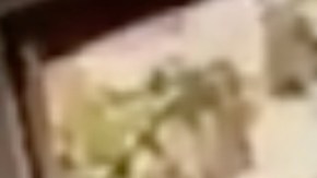 Captura de pantalla del video publicado por la Policía de Los Ángeles.