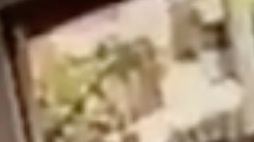 Captura de pantalla del video publicado por la Policía de Los Ángeles.