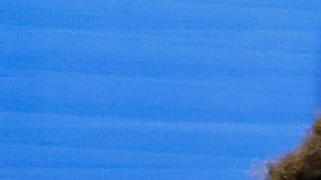 Serena pierde con Azarenka