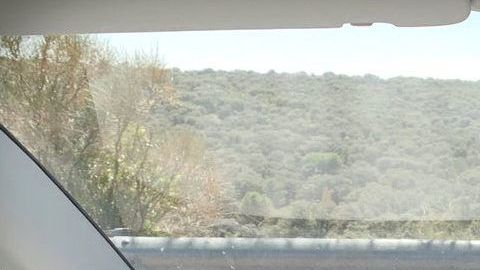 Interior del Tesla Model 3.
Crédito: Cortesía Tesla.