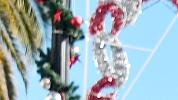 The rock familia covid