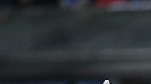 Travis Kelce américa