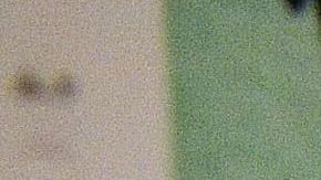 El presidente quiere enviar otro paquete de ayuda económica.