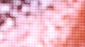 Tyson Fury hermano pelea