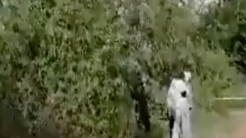 VIDEO: Hallan cuerpos de 2 jovencitas quemadas en tierras del Chapo Guzmán