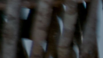 Una escena de la cinta 'Water Dreams'.